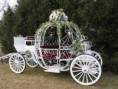 /album/vyzdoba-auta/wedding-car-3-jpg/